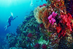 10 Best Activities in the Red sea don’t miss out