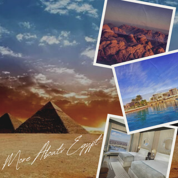 The Royal Road - A Journey Through Ancient Wonders